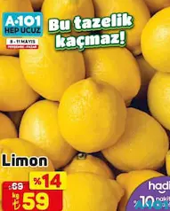 LİMON KG